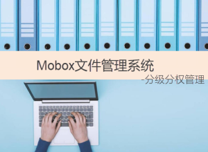 企業(yè)文件管理軟件-實現分級分權文檔安全管控