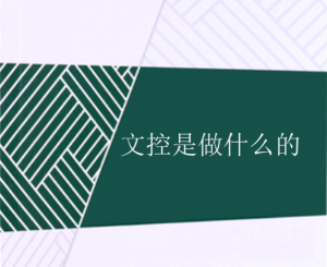 文控是做什么的
