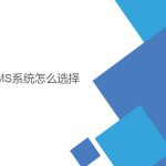 wms系統(tǒng)怎么選擇？