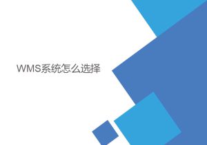 wms系統(tǒng)怎么選擇？